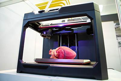 3D打印的心脏模型
